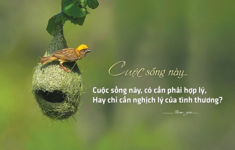 12-cau-noi-hay-ve-cuoc-song-tuoi-dep-quanh-ta-bang-hinh-anh-nhat-dinh-ban-se-thich-1