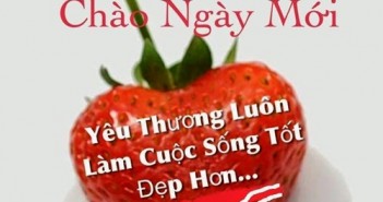 Lời chúc buổi sáng ngọt ngào chứa chan tình cảm nhất cho gấu 2