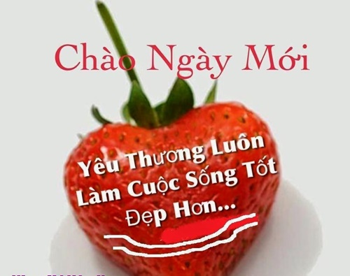 Lời chúc buổi sáng ngọt ngào chứa chan tình cảm nhất cho gấu 2