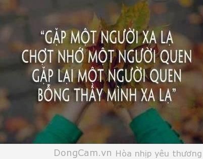 Những câu danh ngôn bất hủ về tình yêu đơn phương buồn bằng tiếng anh ý nghĩa nhất -4