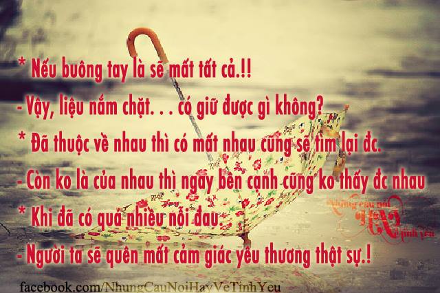 Những câu nói bất hủ về tình yêu buồn cô đơn nhất -10