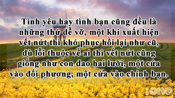 Những câu nói có ý nghĩa sâu sắc về tình yêu bạn nên biết -13