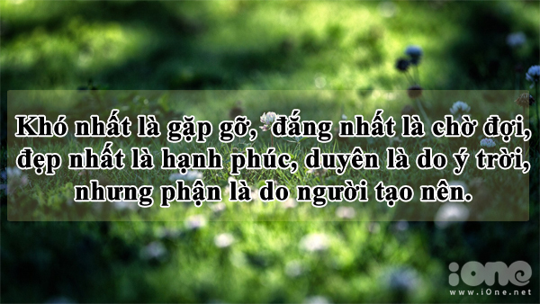 Những câu nói có ý nghĩa sâu sắc về tình yêu bạn nên biết -15