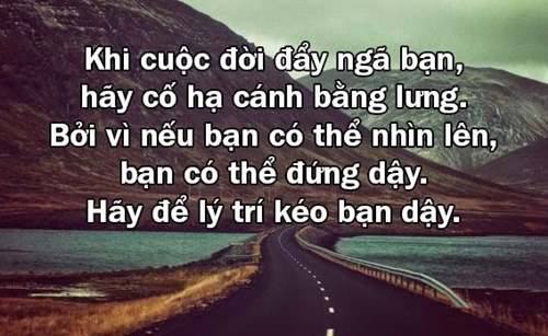 Những câu nói hay về cuộc sống hay ý nghĩa nhất khiến bạn suy nghĩ tích cực hơn 6