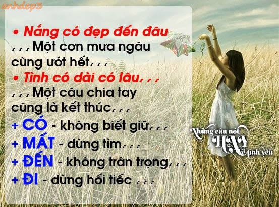 Tổng hợp những câu nói hay nhất về tình yêu buồn thê lương của đôi lứa khi chia tay -3