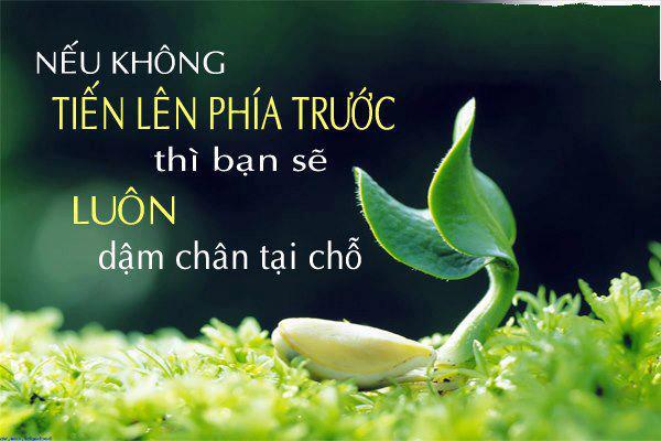 30 câu nói hay về cuộc sống thấm thía tình người -2