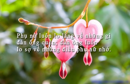 Câu nói hay về phụ nữ đẹp manh mẽ tự lập hay nhất mọi thời đại 3