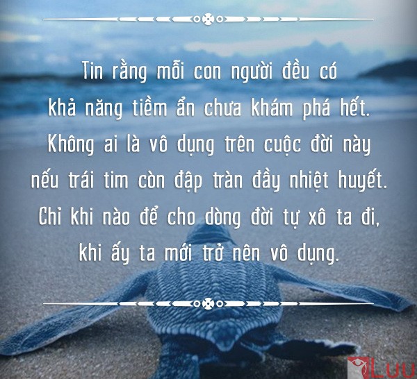 Những câu nói hay và ý nghĩa về cuộc sống đi vào lòng người -2