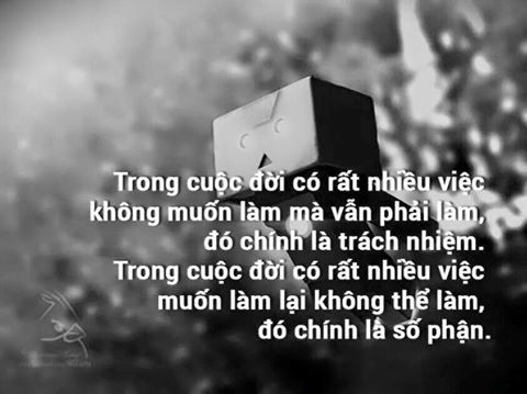 Những câu nói hay về cuộc sống ý nghĩa bạn không nên bỏ qua -11