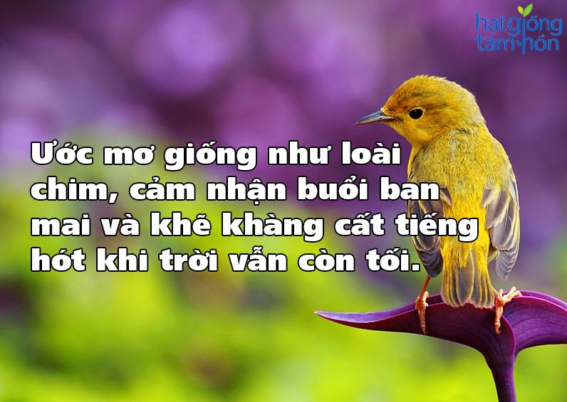 12 câu nói bất hủ về cuộc sống hay nhất đáng để suy ngẫm -3