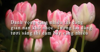 Những câu nói hay bất hủ về đạo đức của con người triết lý nhất -1