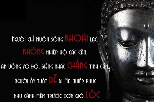 Những câu nói hay bất hủ về đạo đức của con người triết lý nhất -3