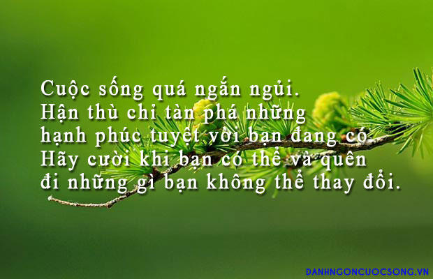 Những câu nói hay bất hủ về thời gian -1