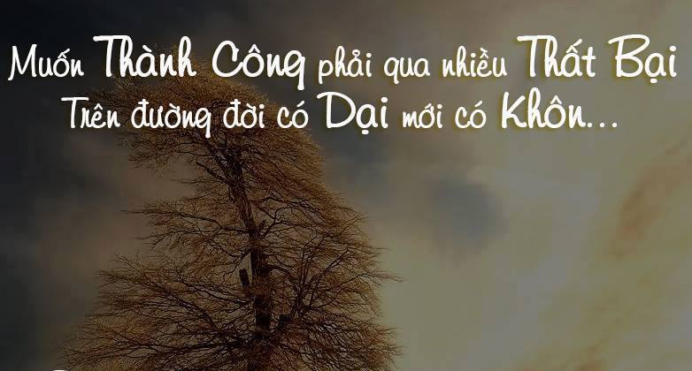 Những câu nói hay có ý nghĩa sâu sắc về thất bại giúp mọi người vượt qua mọi khó khăn -1