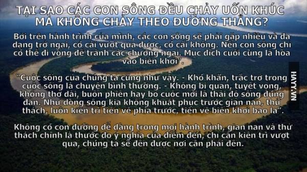 Những câu nói hay và ý nghĩa giúp bạn trưởng thành hơn trong cuộc sống -13