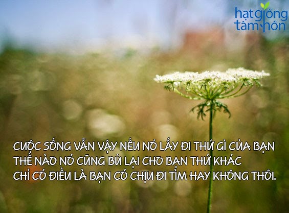 Những câu nói hay về cuộc sống ý nghĩa giúp bạn sống tốt -11