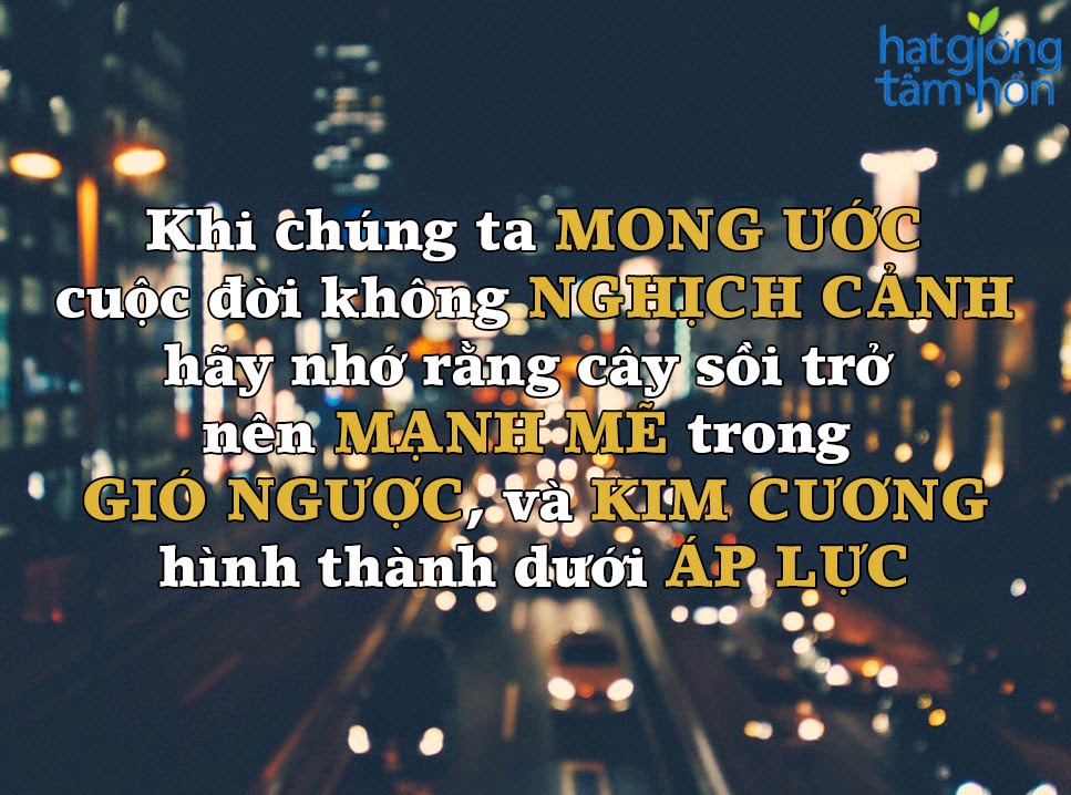 Những câu nói hay về cuộc sống ý nghĩa giúp bạn sống tốt -13