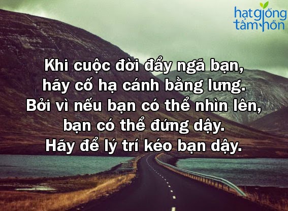 Những câu nói hay về cuộc sống ý nghĩa giúp bạn sống tốt -5