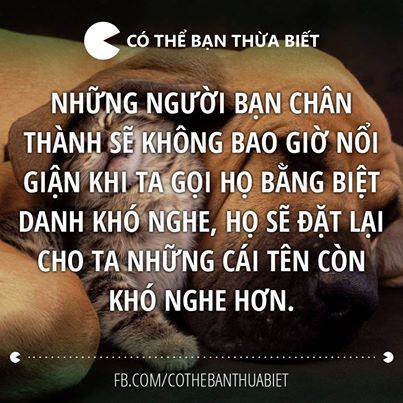 nhung-cau-noi-hay-y-nghia-nhat-ve-tinh-ban-than-thiet-chan-thanh-trong-cuoc-song-khong-the-bo-qua-16