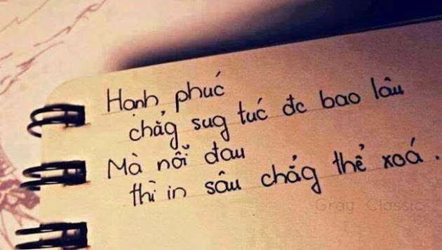 nhung-cau-noi-ve-su-chia-ly-dau-buon-nhat-bang-hinh-anh-tung-duoc-chia-se-12