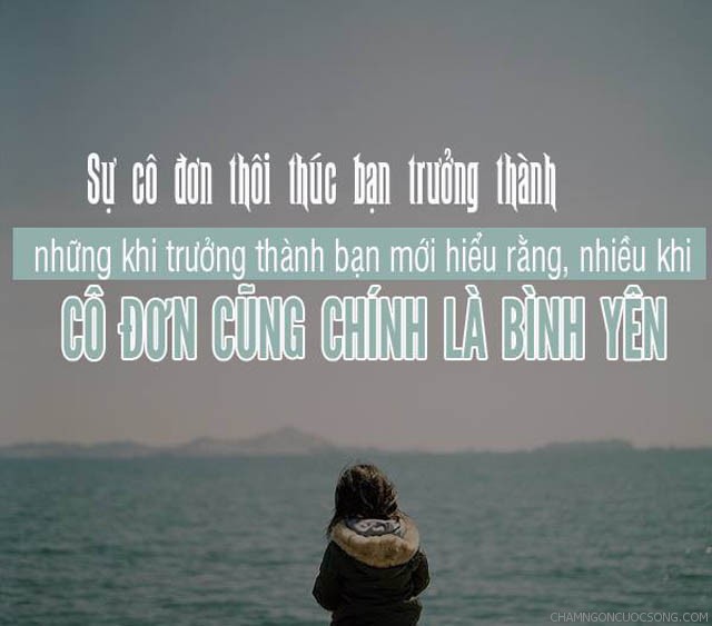 nhung-cau-noi-ve-su-co-don-buon-dau-don-nhat-bang-hinh-anh-9