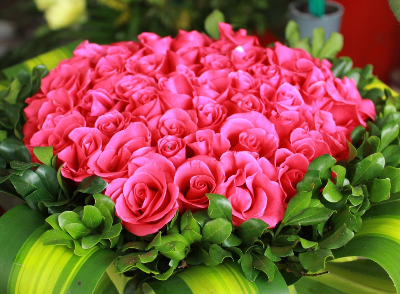 Những loài hoa đẹp ý nghĩa nên tặng bạn gái vào ngày Valentine Trắng 14/3-2