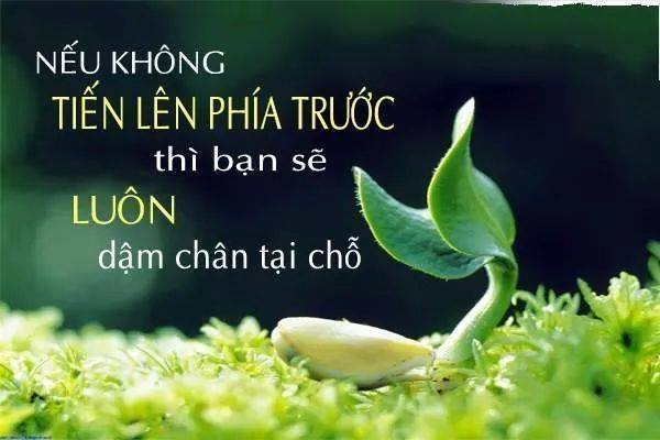 12-cau-noi-hay-ve-cuoc-song-tuoi-dep-quanh-ta-bang-hinh-anh-nhat-dinh-ban-se-thich-11