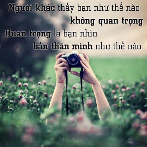 12-cau-noi-hay-ve-cuoc-song-tuoi-dep-quanh-ta-bang-hinh-anh-nhat-dinh-ban-se-thich-12