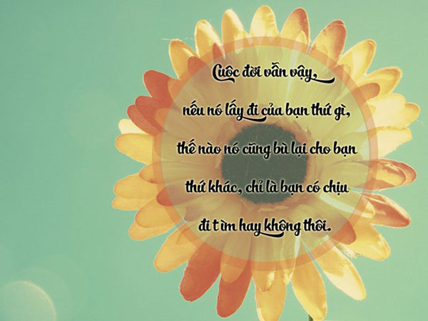 15-cau-noi-hay-y-nghia-bat-hu-ve-cuoc-song-nhat-dinh-se-khien-ban-manh-me-hon-1