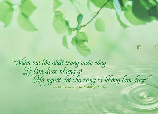 15-cau-noi-hay-y-nghia-bat-hu-ve-cuoc-song-nhat-dinh-se-khien-ban-manh-me-hon-2