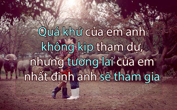 15-cau-noi-hay-y-nghia-nhat-ve-tinh-yeu-doi-lua-nhat-dinh-se-lam-say-long-nguoi-doc-13