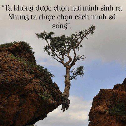 nhung-cau-danh-ngon-hay-y-nghia-dang-nho-nhat-ve-so-phan-trong-cuoc-song-ma-ban-khong-nen-bo-qua-2