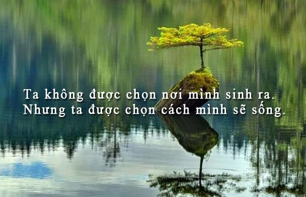 nhung-cau-danh-ngon-ve-cuoc-song-hay-y-nghia-sau-sac-nhat-ma-neu-bo-qua-nhat-dinh-ban-se-hoi-han-10