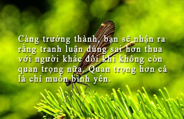 nhung-cau-danh-ngon-ve-cuoc-song-hay-y-nghia-sau-sac-nhat-ma-neu-bo-qua-nhat-dinh-ban-se-hoi-han-3