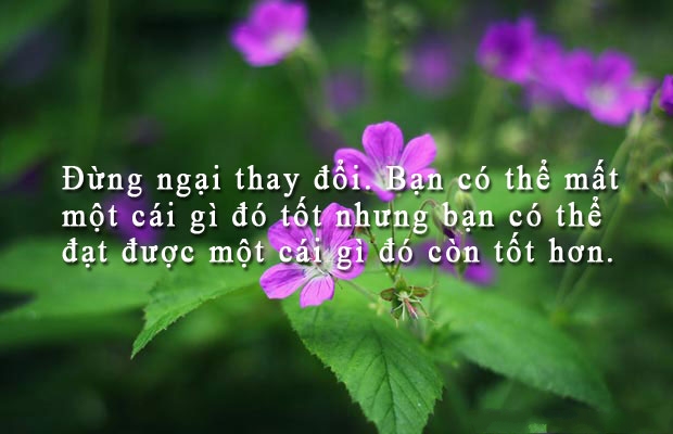 nhung-cau-danh-ngon-ve-cuoc-song-hay-y-nghia-sau-sac-nhat-ma-neu-bo-qua-nhat-dinh-ban-se-hoi-han-7