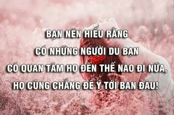 nhung-cau-noi-cuc-hay-cuc-sau-sac-ve-tinh-yeu-don-phuong-nhat-dinh-se-giup-ban-tinh-ngo-6