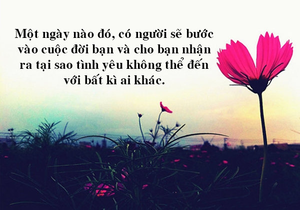 nhung-cau-noi-hay-an-tuong-manh-me-ve-cuoc-song-nhat-dinh-se-truyen-dong-luc-cho-ban-11