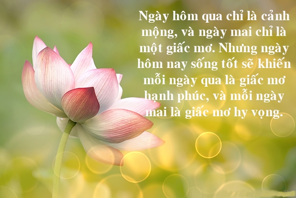 nhung-cau-noi-hay-an-tuong-manh-me-ve-cuoc-song-nhat-dinh-se-truyen-dong-luc-cho-ban-7