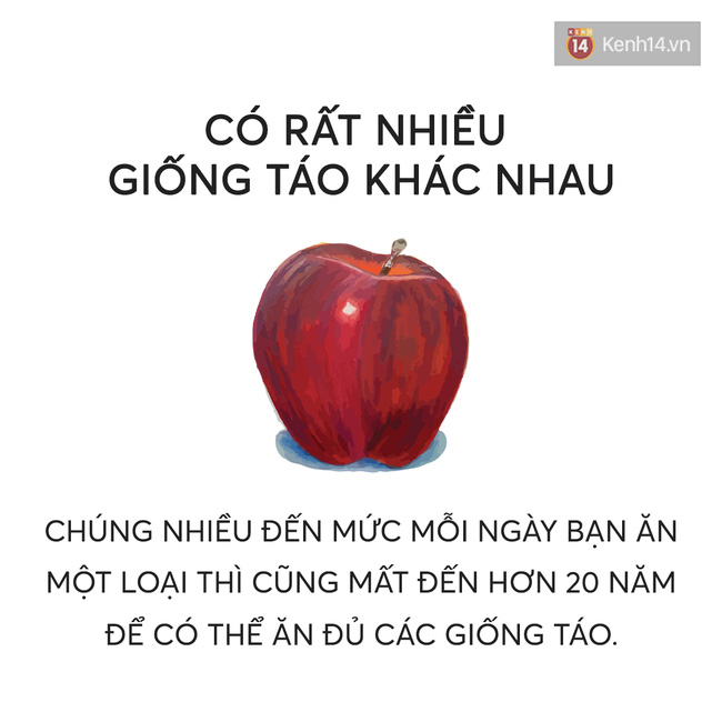 nhung-cau-noi-hay-ve-nhung-dieu-ly-thu-trong-cuoc-song-nhat-dinh-se-khien-ban-tinh-ngo-2