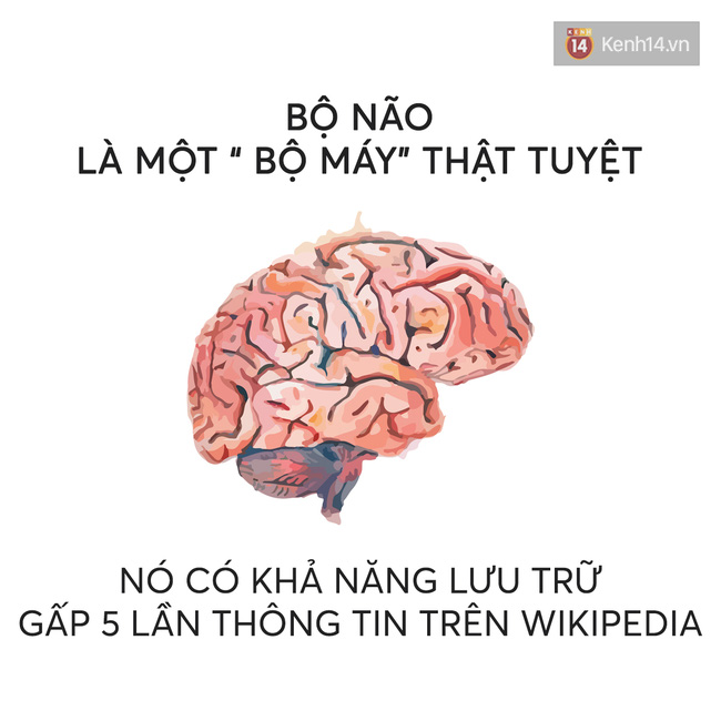 nhung-cau-noi-hay-ve-nhung-dieu-ly-thu-trong-cuoc-song-nhat-dinh-se-khien-ban-tinh-ngo-5