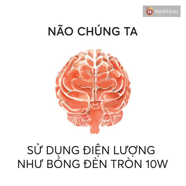 nhung-cau-noi-hay-ve-nhung-dieu-ly-thu-trong-cuoc-song-nhat-dinh-se-khien-ban-tinh-ngo-6