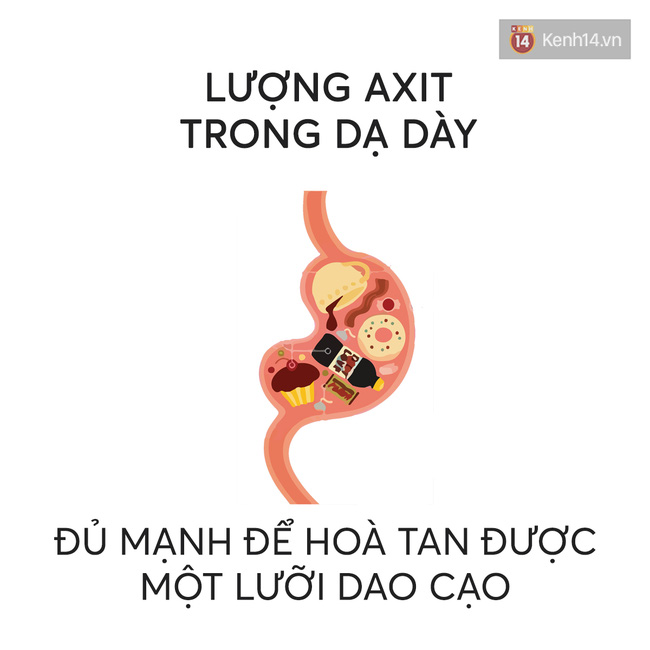 nhung-cau-noi-hay-ve-nhung-dieu-ly-thu-trong-cuoc-song-nhat-dinh-se-khien-ban-tinh-ngo-8