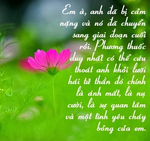 nhung-cau-noi-hay-ve-tinh-yeu-va-cuoc-song-nhat-dinh-se-giup-ban-truong-thanh-hon-6