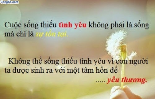 nhung-cau-noi-hay-y-nghia-dang-nho-ve-cuoc-song-nhat-dinh-se-khien-ban-thoai-mai-thu-gian-8