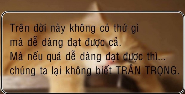 nhung-cau-noi-sieu-hay-sieu-y-nghia-ve-cuoc-song-dang-de-chung-ta-suy-ngam-11