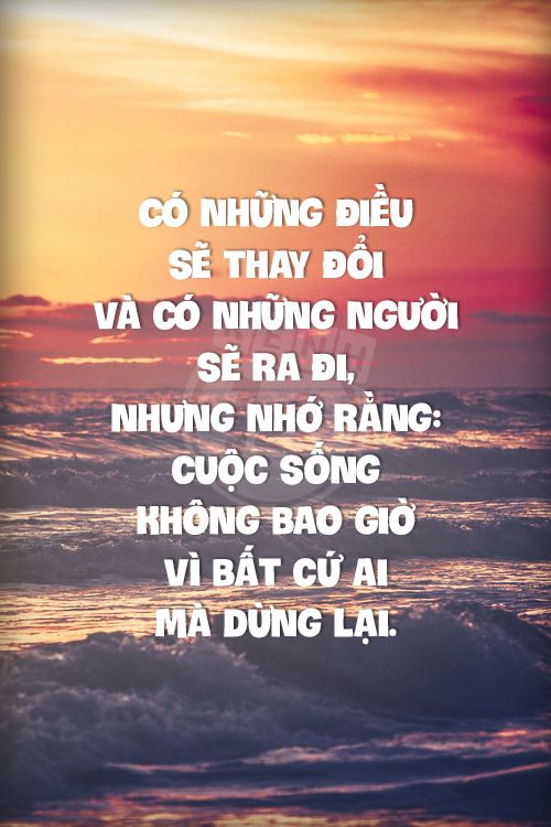 nhung-cau-noi-ve-cuoc-song-hay-y-nghia-dang-hoc-hoi-ma-ban-khong-nen-bo-qua-2