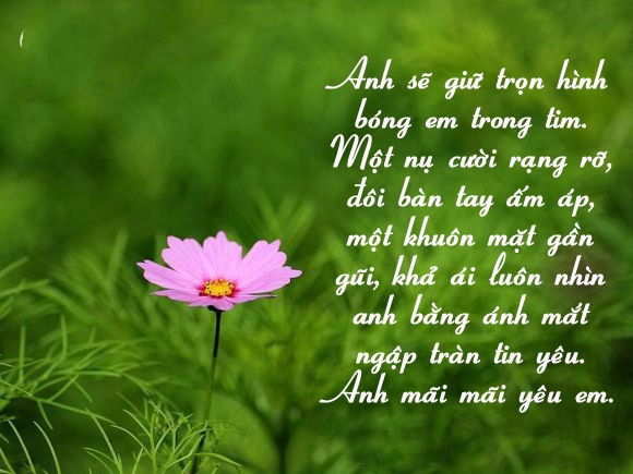 nhung-loi-to-tinh-sieu-hay-sieu-lang-man-nhat-dinh-se-khien-cac-ban-gai-cam-dong-11