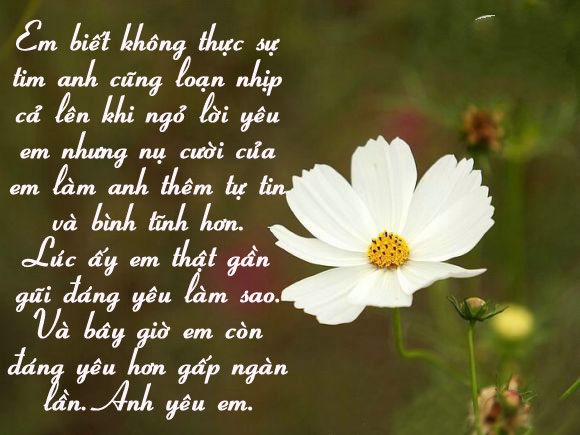 nhung-loi-to-tinh-sieu-hay-sieu-lang-man-nhat-dinh-se-khien-cac-ban-gai-cam-dong-6