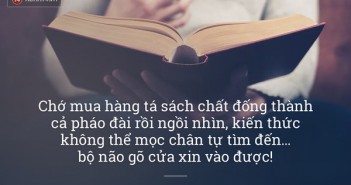 Tuyển tập câu nói hay về những sai lầm trong cuộc sống nhất định sẽ khiến bạn tỉnh ngộ-2