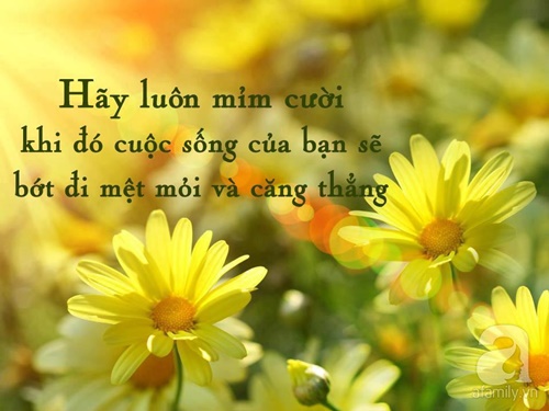 tuyen-tap-nhung-cau-noi-hay-chan-thanh-gian-di-ve-cuoc-song-ma-ban-khong-the-khong-biet-2